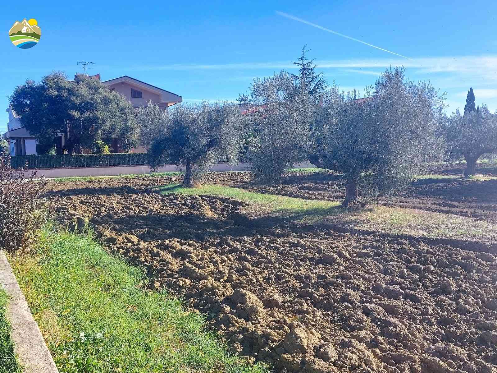 Country Houses Country Houses for sale Pineto (TE), Mare e Natura - Pineto - EUR 119.448 640