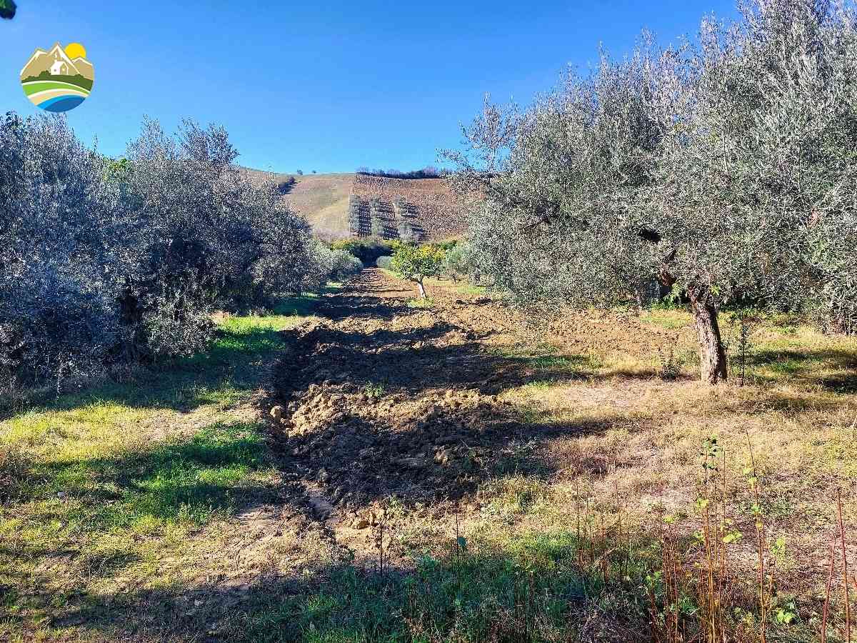 Country Houses Country Houses for sale Pineto (TE), Terreno Adriatico - Pineto - EUR 156.446 580