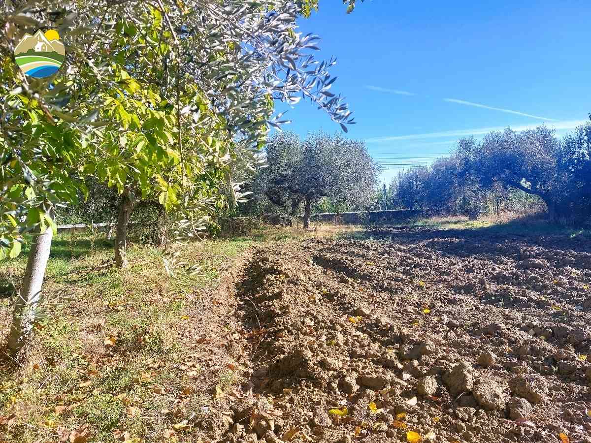 Country Houses Country Houses for sale Pineto (TE), Terreno Adriatico - Pineto - EUR 163.132 600