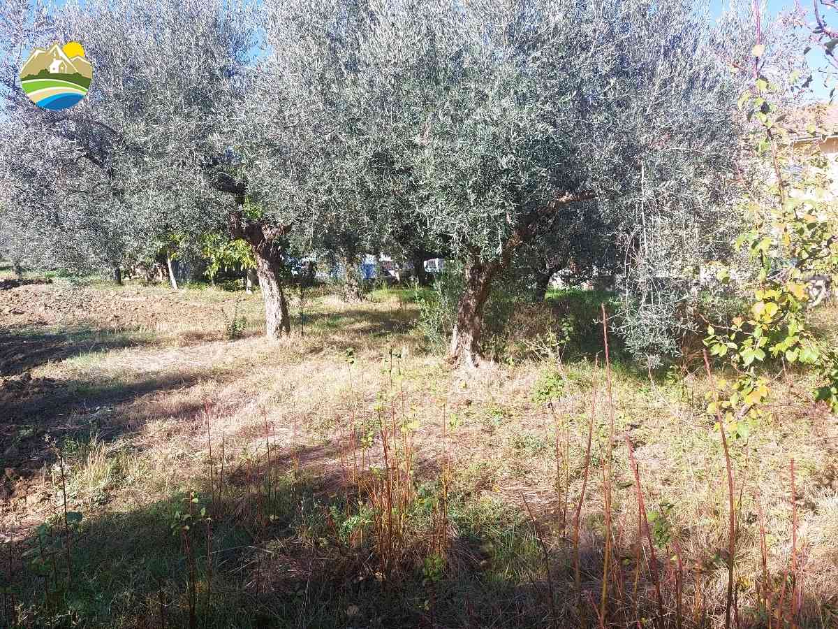 Country Houses Country Houses for sale Pineto (TE), Terreno Adriatico - Pineto - EUR 163.132 620