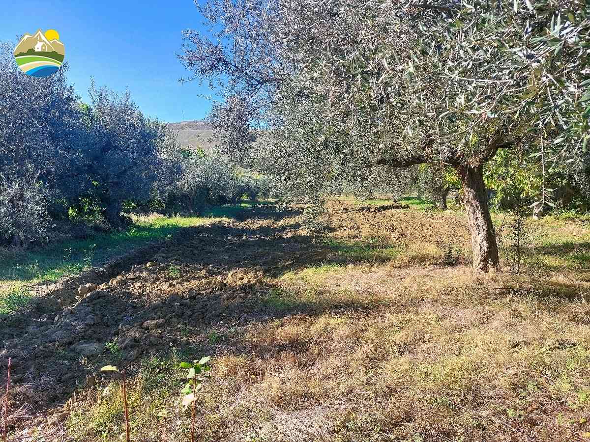 Country Houses Country Houses for sale Pineto (TE), Terreno Adriatico - Pineto - EUR 156.446 630