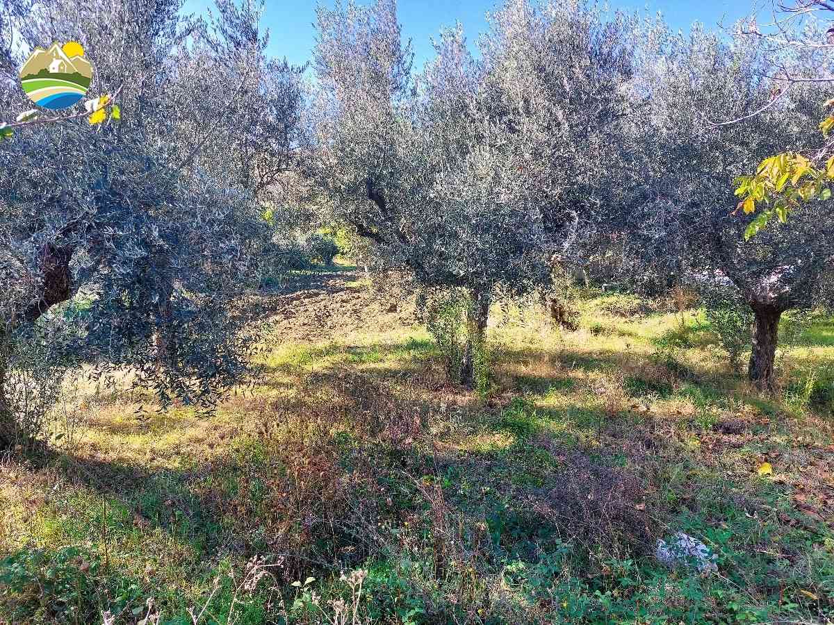 Country Houses Country Houses for sale Pineto (TE), Terreno Adriatico - Pineto - EUR 156.446 640