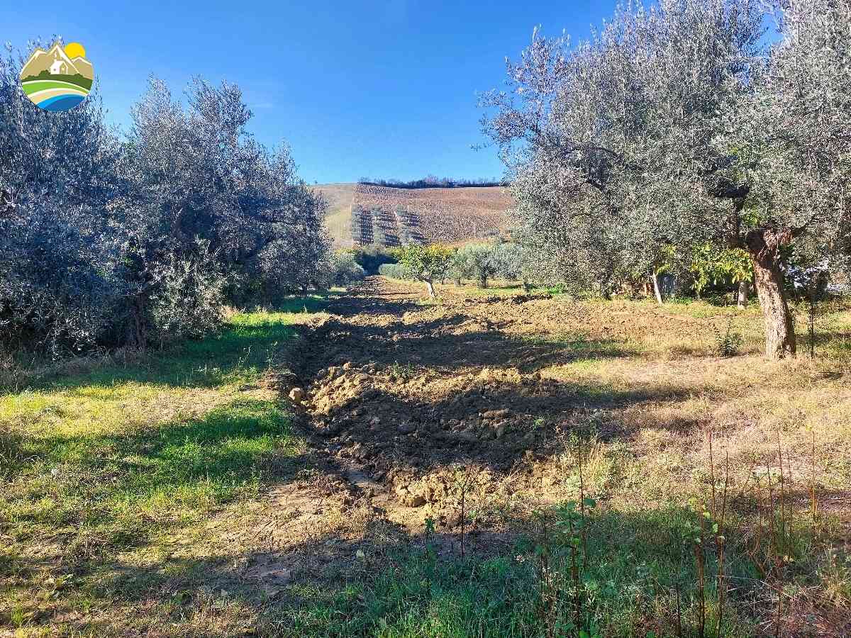 Country Houses Country Houses for sale Pineto (TE), Terreno Adriatico - Pineto - EUR 163.132 650