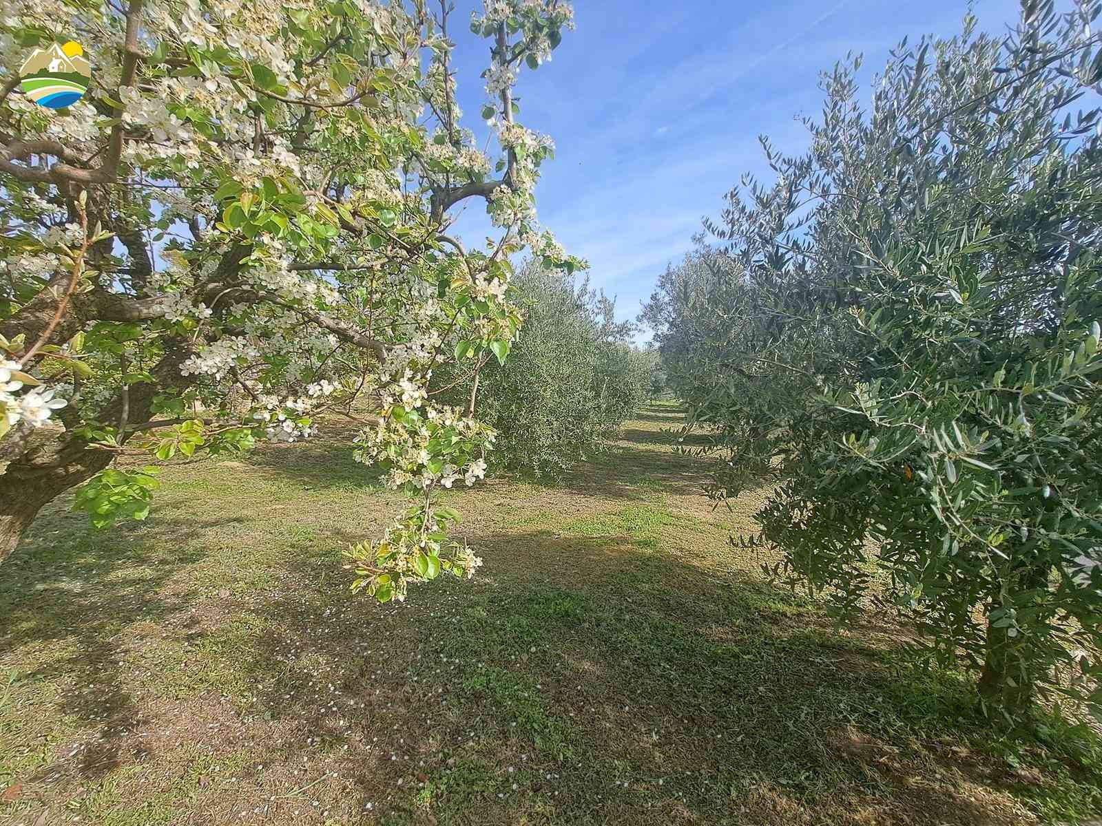 Country Houses Country Houses for sale Bellante (TE), Casa Acero - Bellante - EUR 288.408 1010