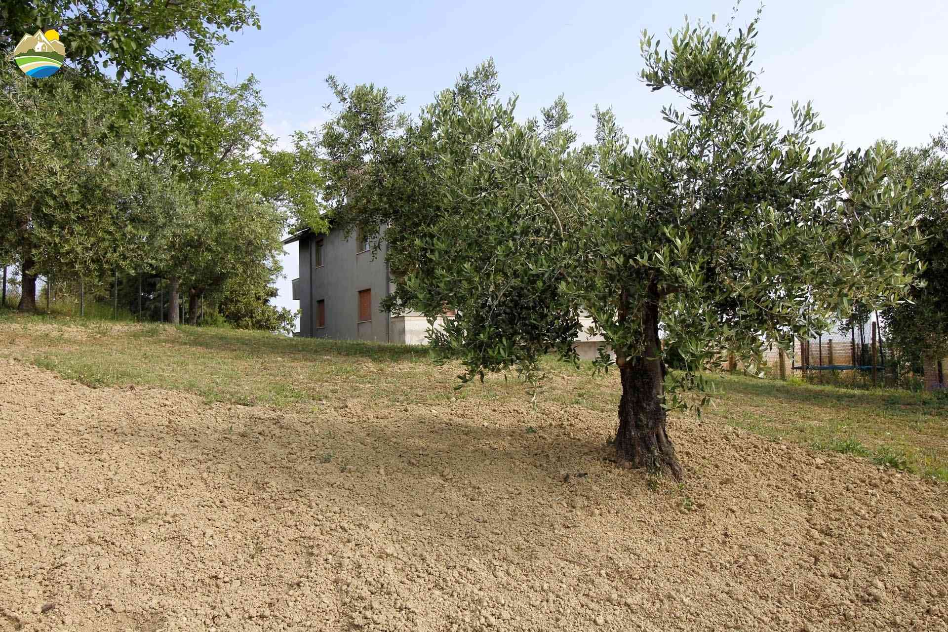 Country Houses Country Houses for sale Castilenti (TE), Casa San Paolo - Castilenti - EUR 269.712 1040