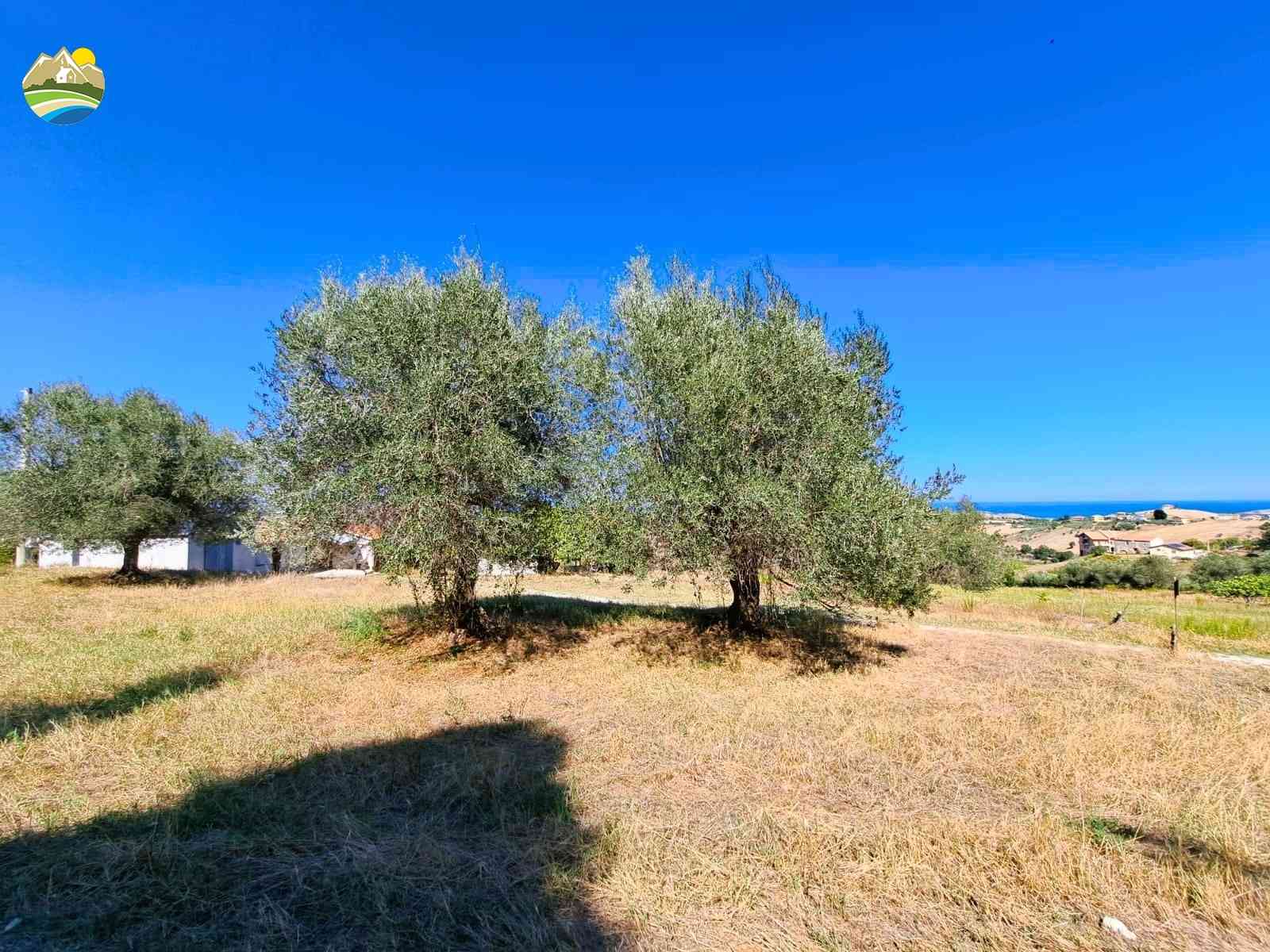 Villa Villa for sale Atri (TE), Cascina del Mare - Atri - EUR 119.630 780